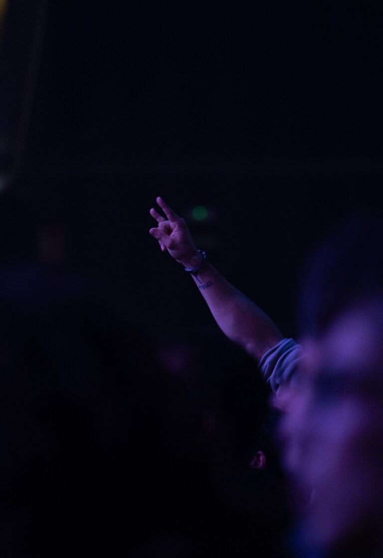 Persona del público haciendo el símbolo del heavy metal con la mano
