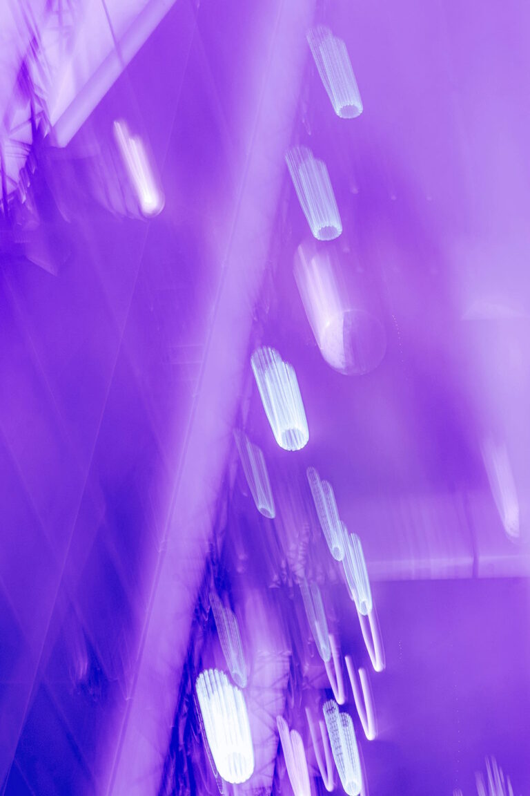 Luces difuminadas en Hivernacle